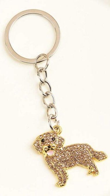 Porte clé golden strass