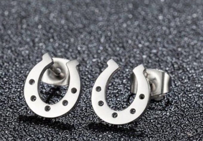 Pins d’oreilles fer a cheval argenté 