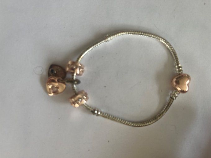 Bracelet petite breloques 